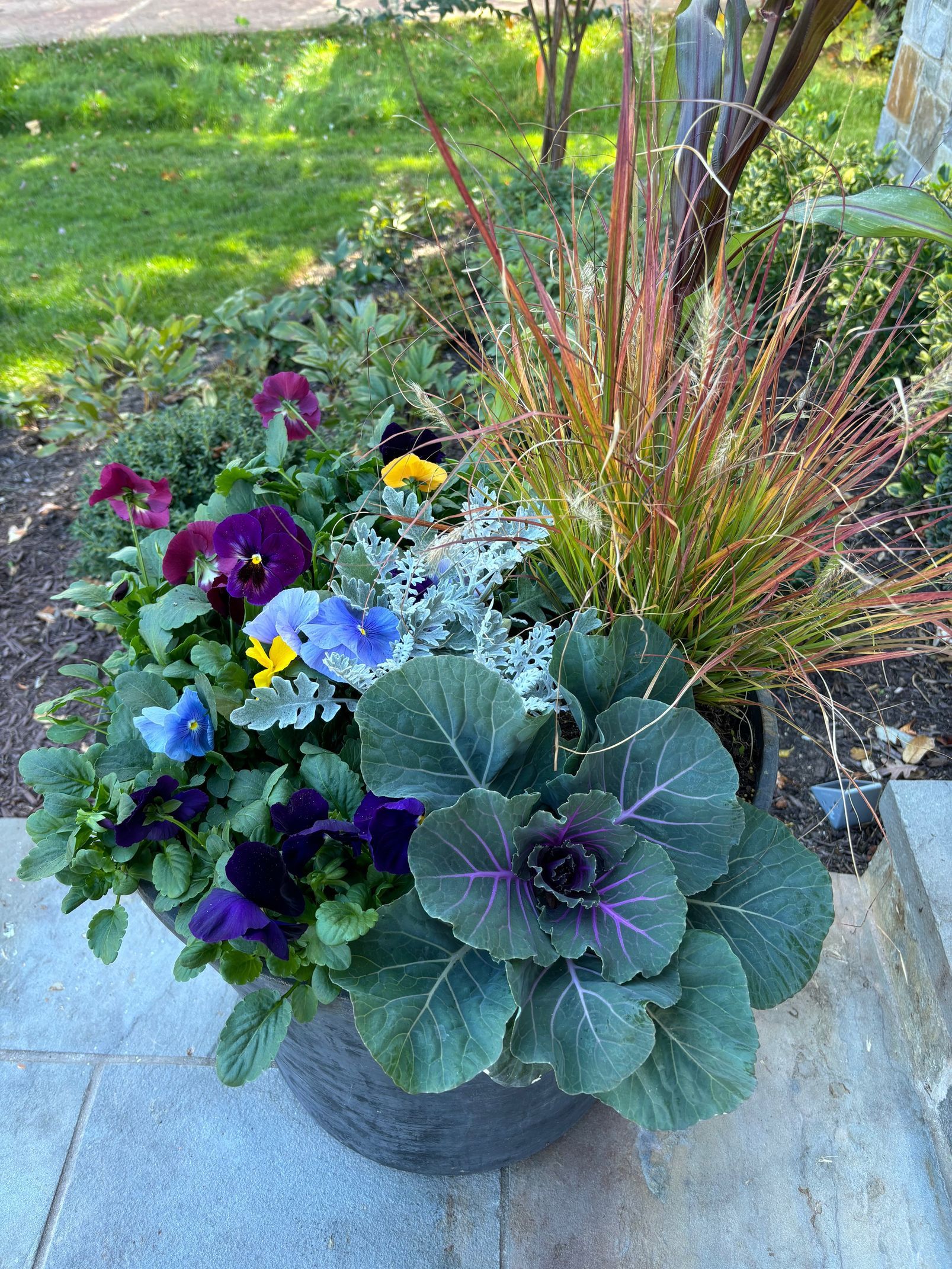 A dark pot holds a vibrant arrangement of purple and blue pansies, silver dusty miller, green kale, and tall, wispy grasses.