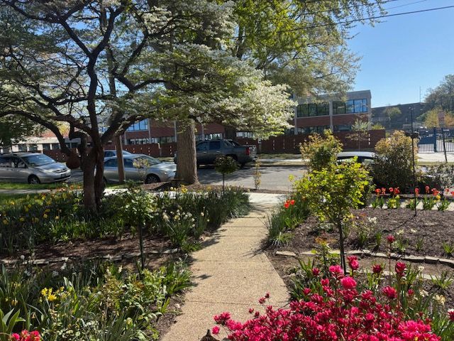 A stone pathway leads through a garden with vibrant red flowers and spring blooms toward a street with parked cars.