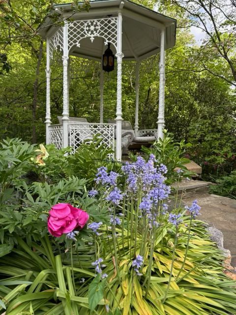 A white, ornate gazebo sits in a lush garden with bright pink peonies and tall, purple bell-shaped flowers in the foreground.