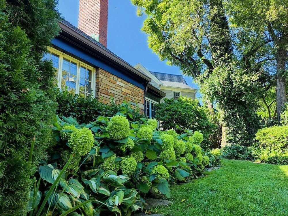 A stone house with a red brick chimney surrounded.