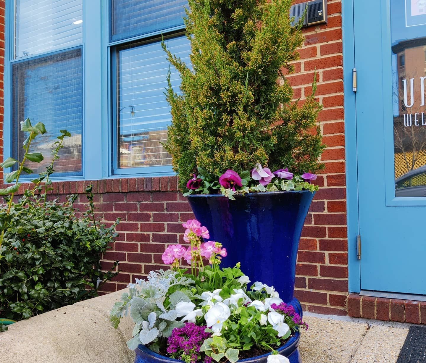 Two blue ceramic planters filled with evergreen trees and colorful flowers sit in front of a brick building with blue trim.