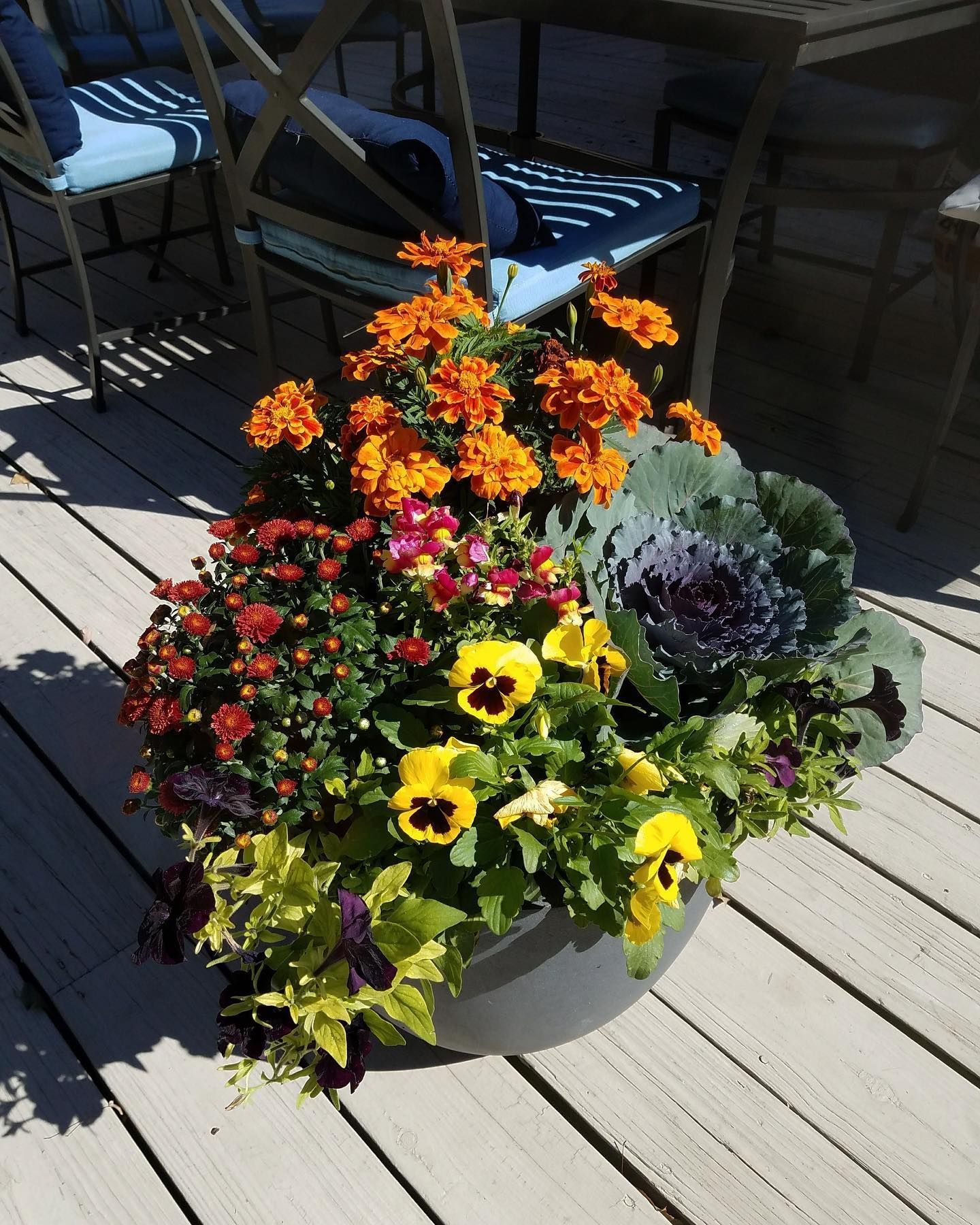 A large, circular grey planter filled with orange marigolds.
