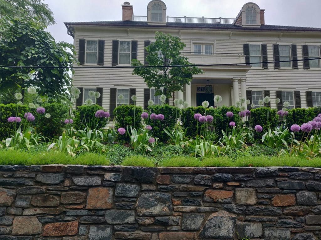 A historic two-story white house with a stone wall and blooming purple allium flowers in the foreground.