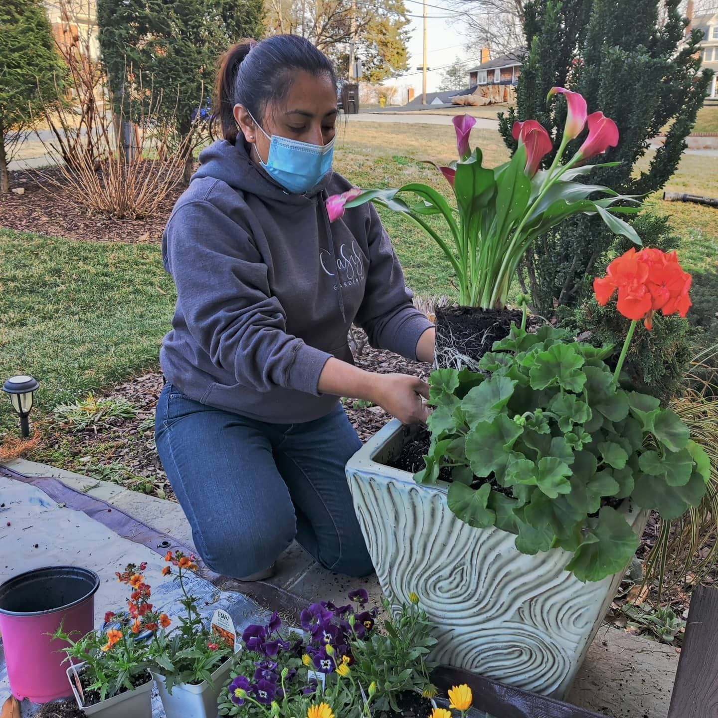 A person wearing a blue face mask kneels outdoors, planting a pink calla lily into a textured white planter.