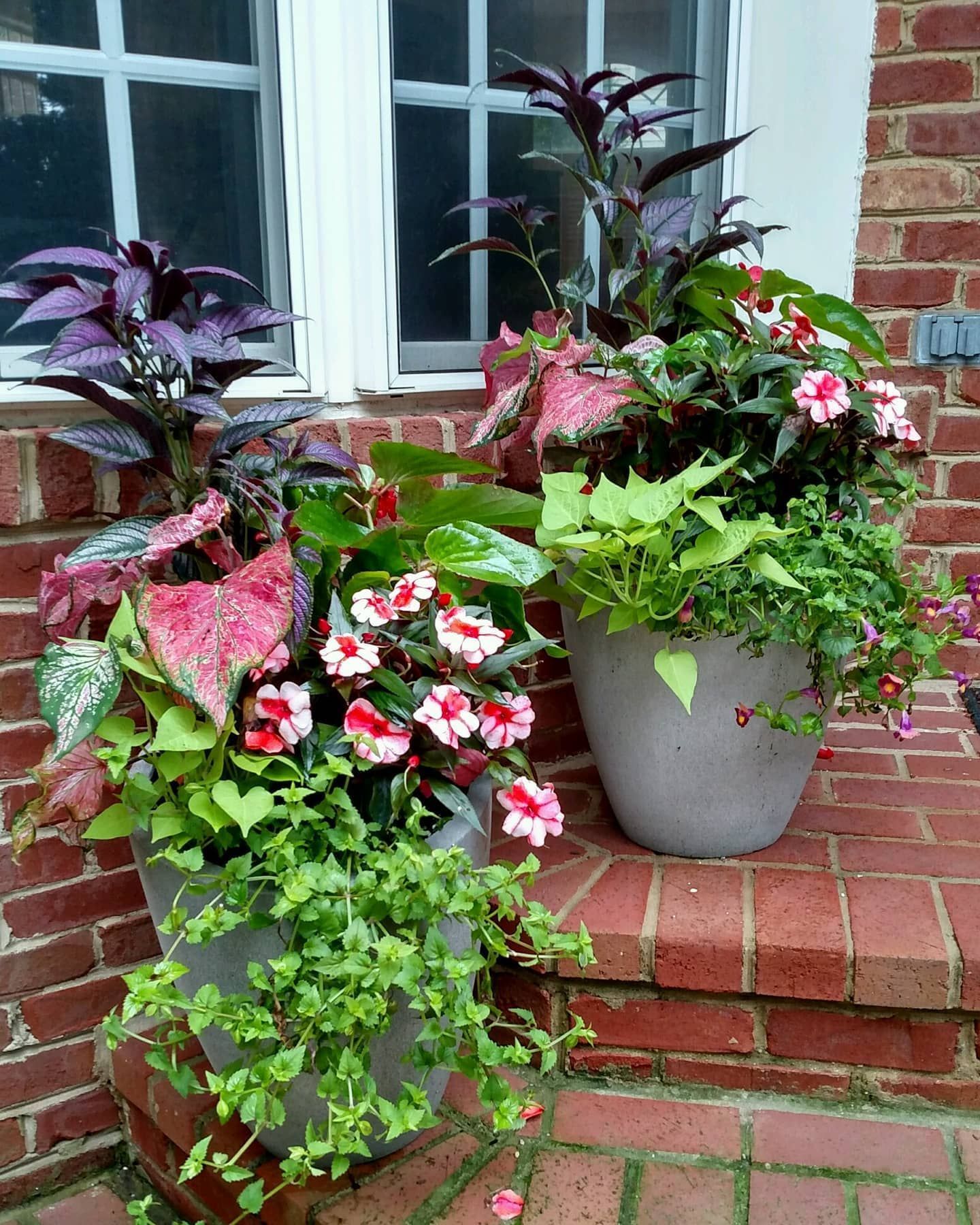 A container garden features vibrant yellow pansies.