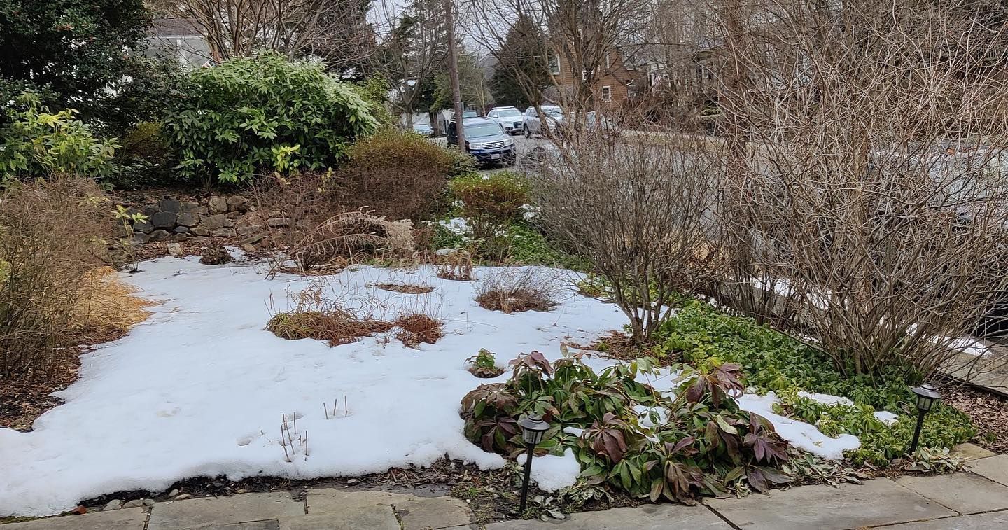 A garden bed with patches of melting snow.