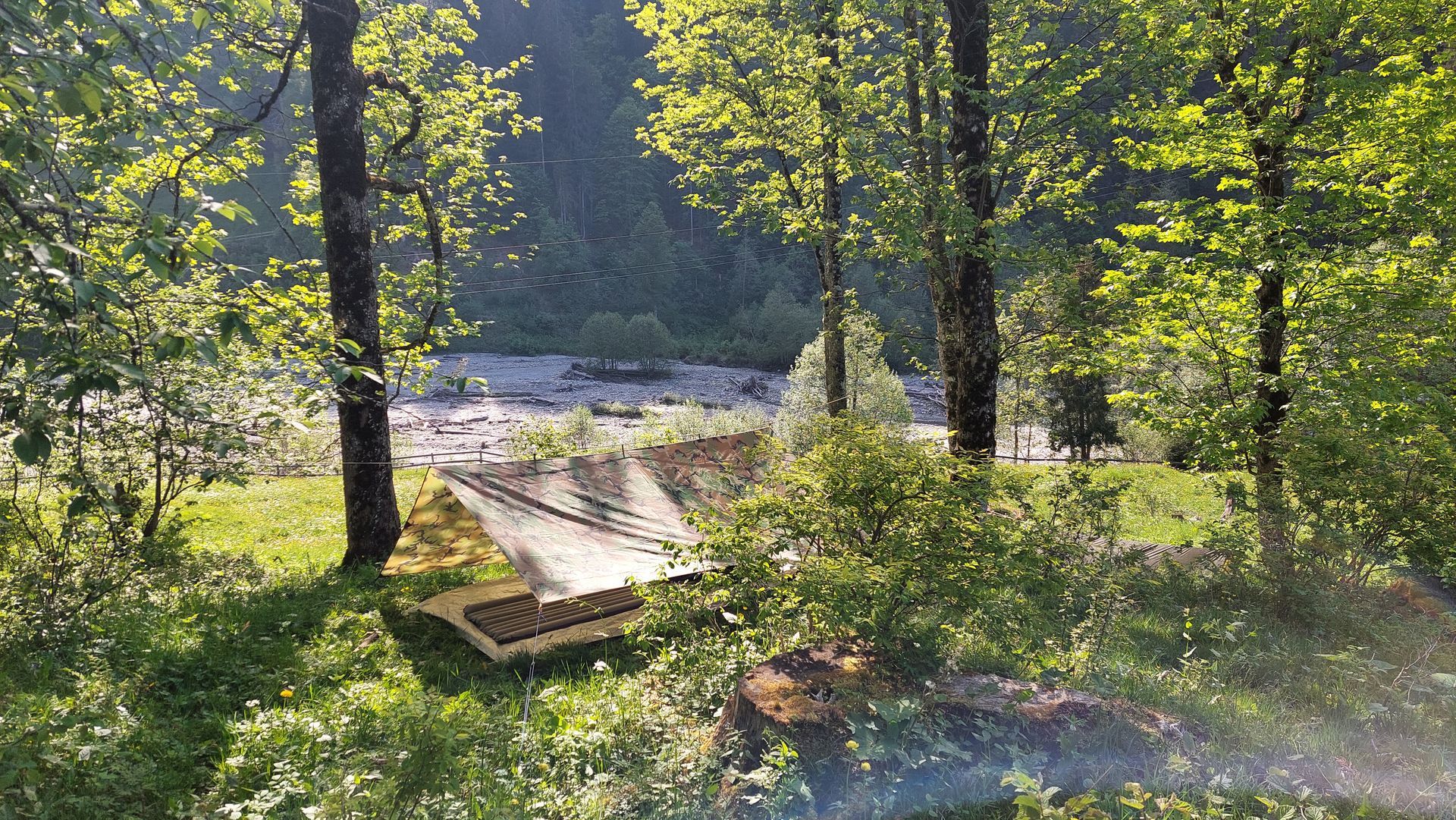Schlafstelle mit Tarp in der Natur, ideal für Übernachten im Freien und Natur erleben in der Wildnispädagogik