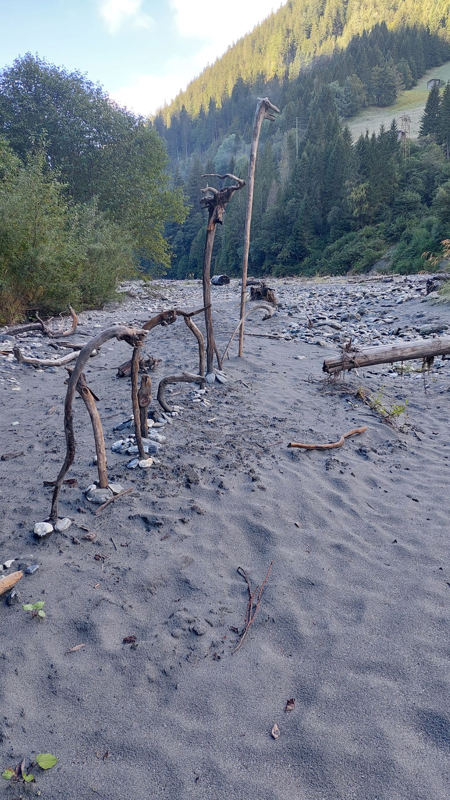 Nackte Baumwurzeln auf einem dunklen, sandigen Flussbett, im Hintergrund ein Berg.