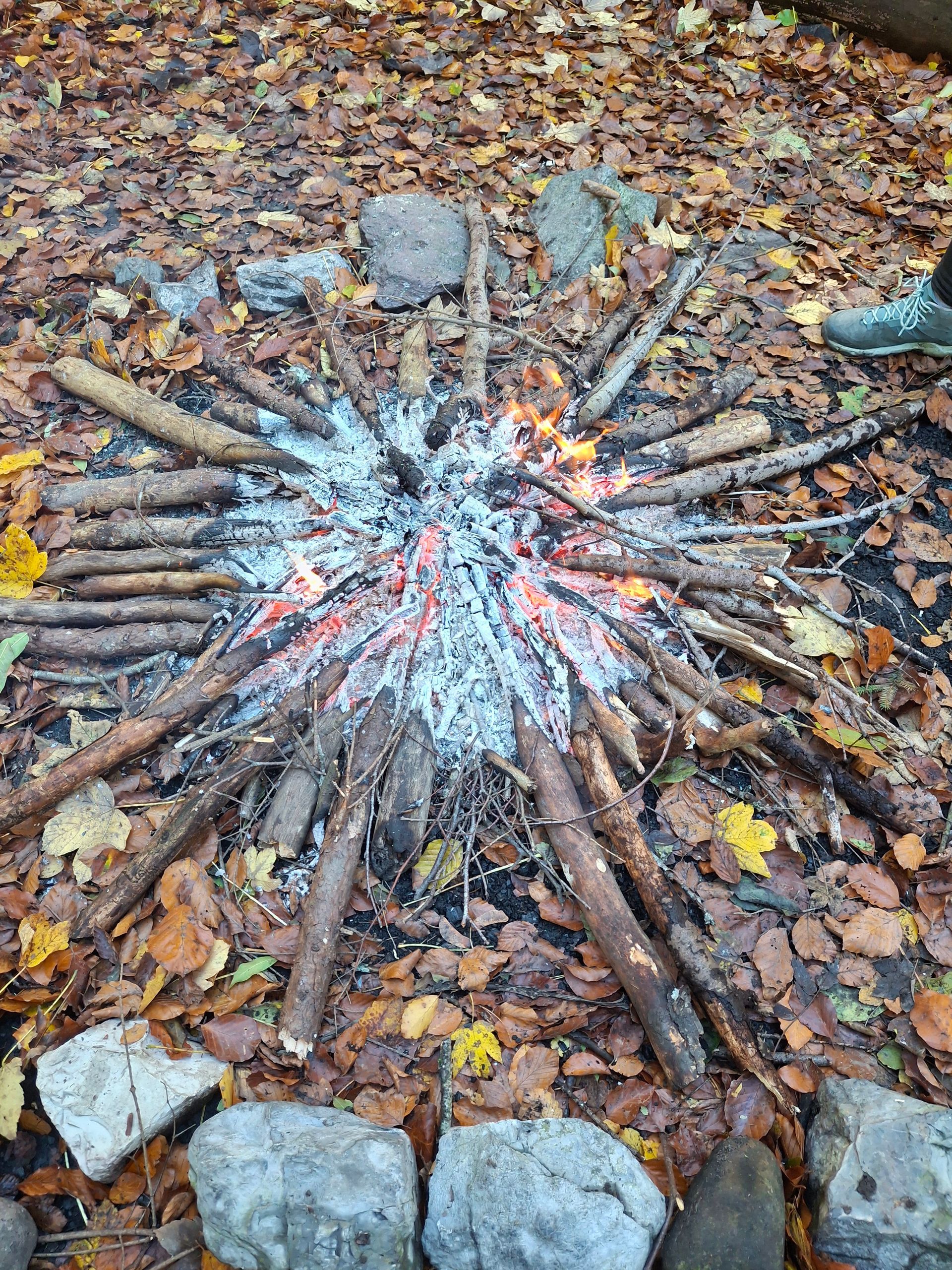 Lagerfeuer mit brennenden Stöcken, die von einer zentralen Aschegrube ausgehen, umgeben von Steinen und Laub.