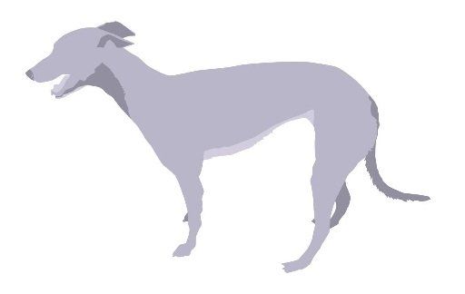 Greyhound Groom