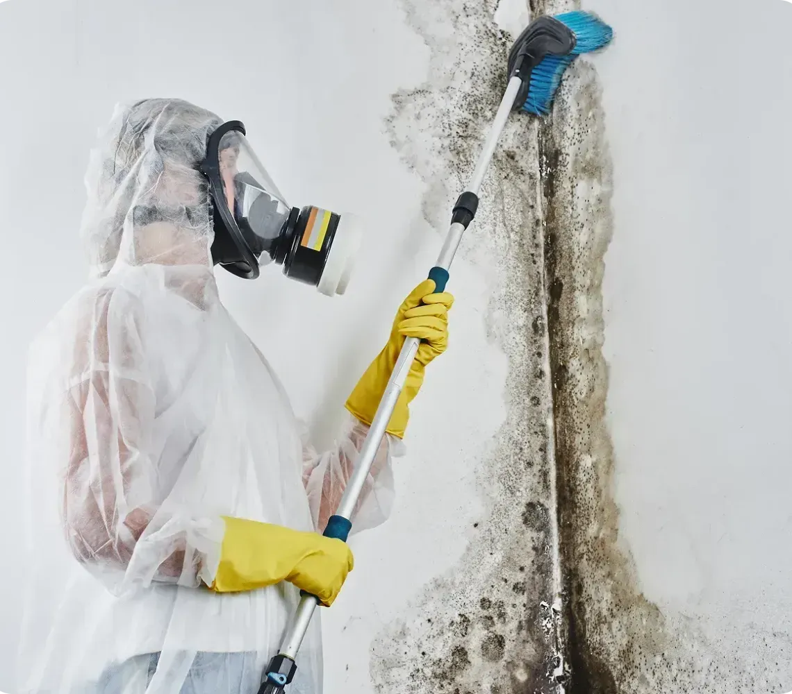 A person in a protective suit and mask uses a long-handled brush to clean mold from a white wall.