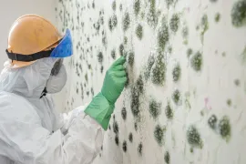 A hand wearing a light green rubber glove uses a white sponge to scrub mold off a white window frame.