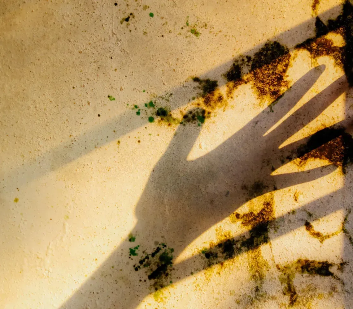 Shadow of a hand cast on a golden, textured surface with patches of dark green algae.