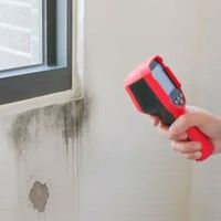A technician uses a red thermal imaging camera to inspect dark water damage and mold on a wall beneath a window.