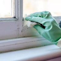 A hand wearing a green glove uses a sponge to scrub mold off a white window frame.