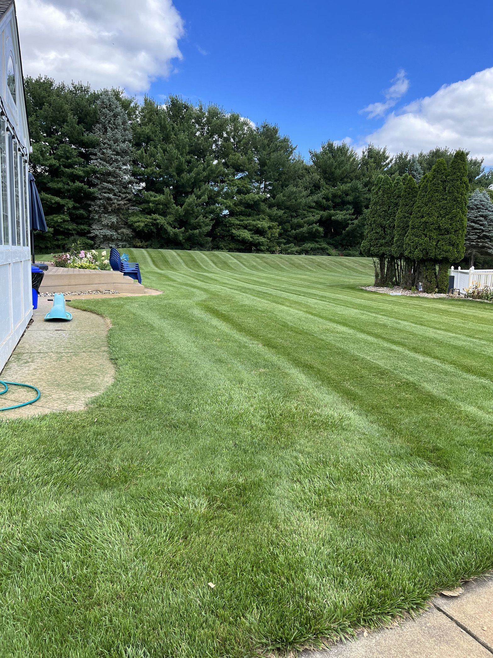 A lush green lawn with trees in the background on a sunny day.