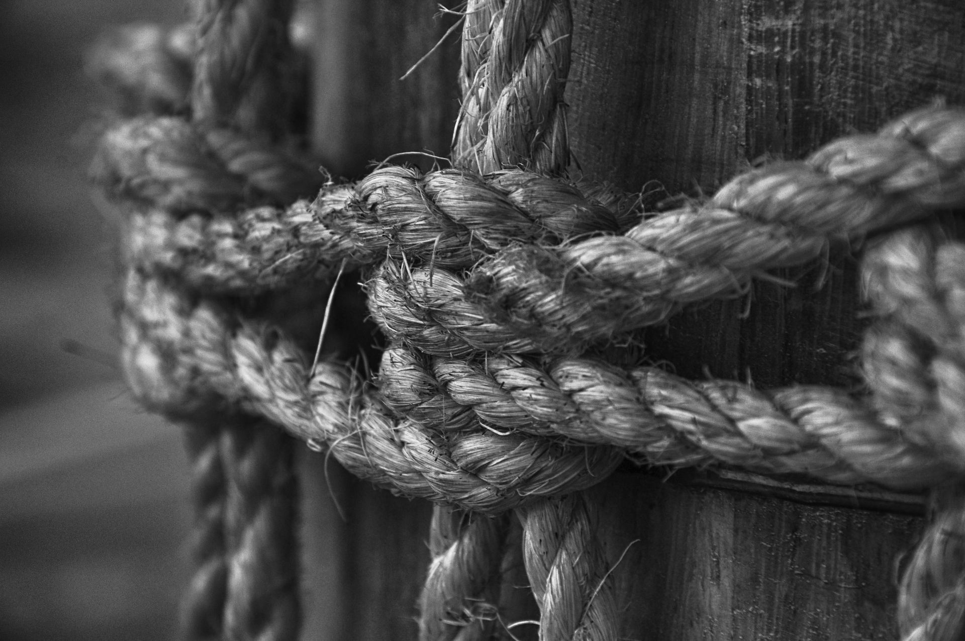 Solid Business Foundations