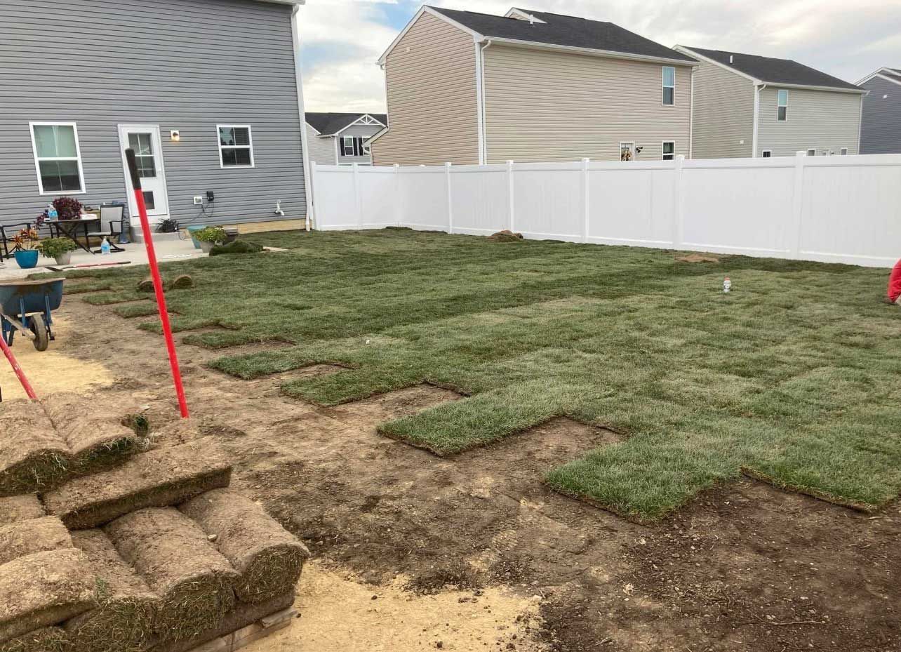 A backyard with patches of newly laid sod on dirt ground, near a white fence and houses with gray and beige siding.
