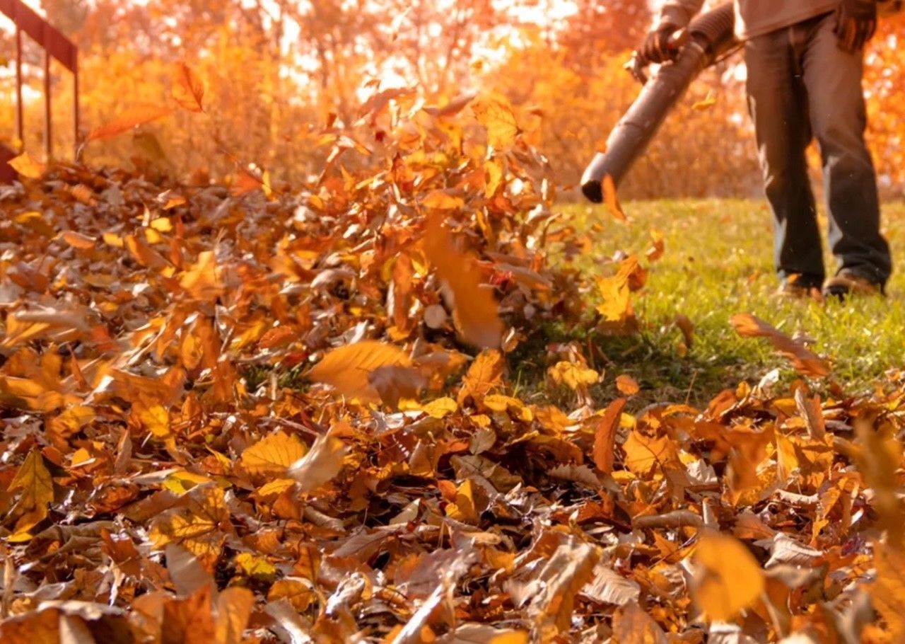 A Man Is Kneeling Down to Roll out A Roll of Grass in A Garden | Clinton, OH | Flexlawn & Landscape, LTD