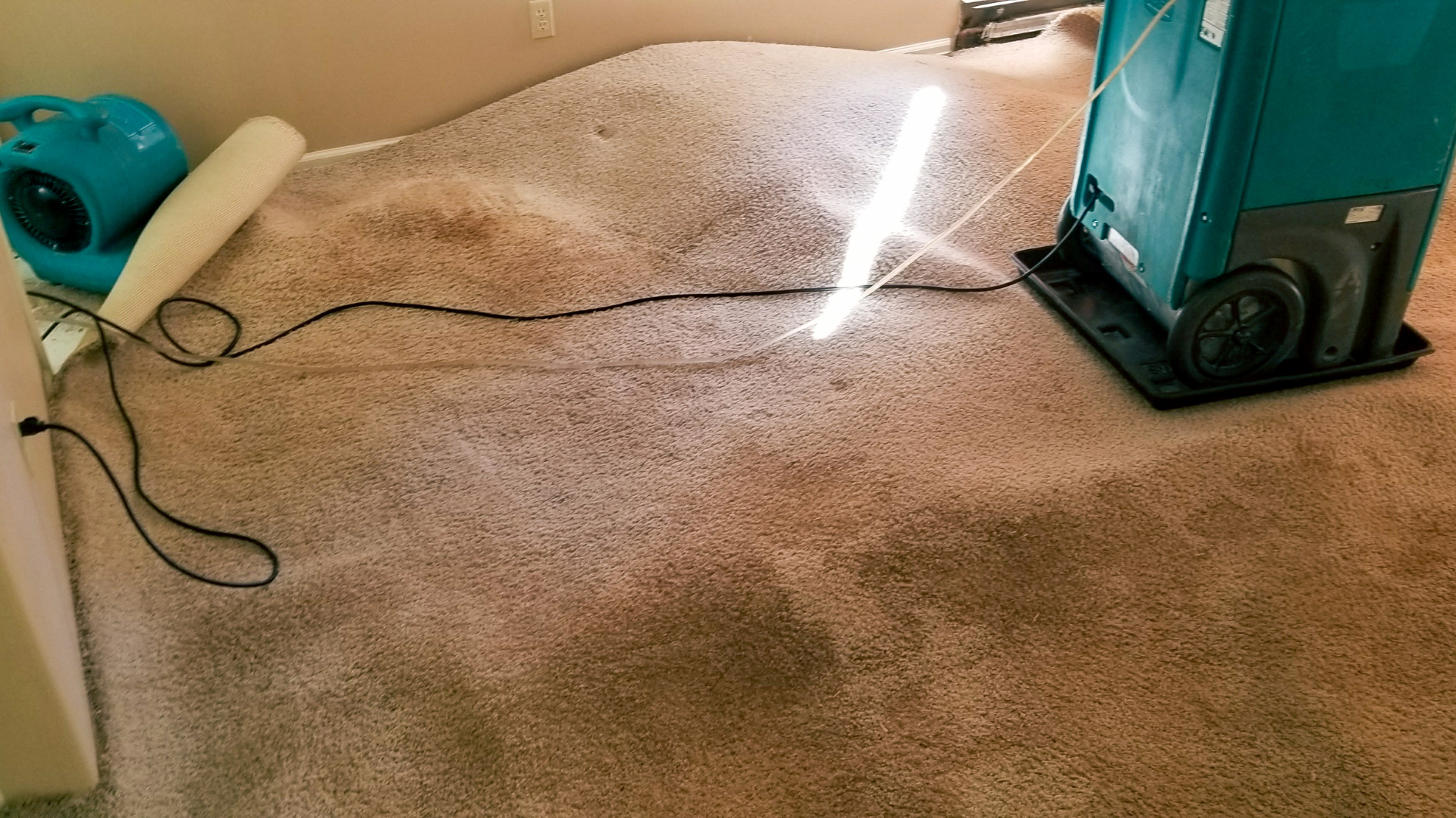 Signs of water damage on wet carpets water damaged