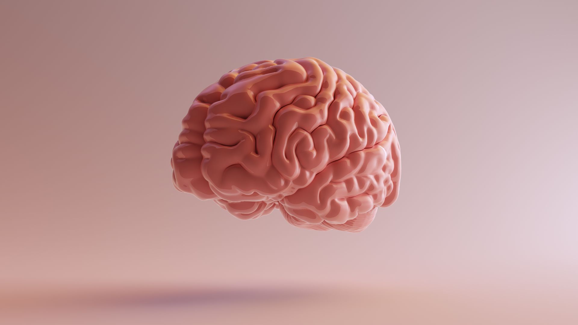 brain on pink background