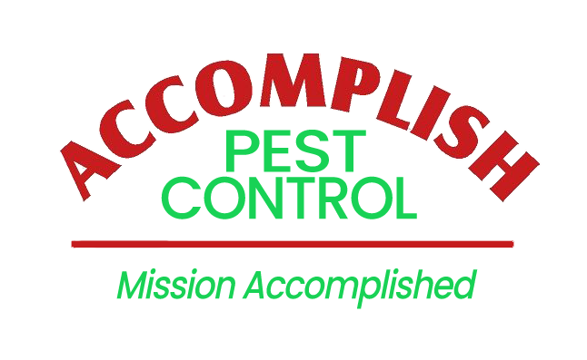 Accomplish Pest Control, Sacramento County CA, Sacramento CA, Rio Linda CA, Antelope CA, Citrus Heights CA, Carmichael CA, Arden-Arcade CA, Rancho Cordova CA, Wilton CA, Lemon Hill CA, Florin CA, Vineyard CA, Fair Oaks CA, Gold River CA, Orangevale CA, Folsom CA, Placer County CA, Roseville CA, Rocklin CA, Loomis CA, Auburn CA, Granite Bay CA, Pest Control service, Pest Control Near Me, Pest Control Company, Pest Control Company Near Me, Local Pest Control, Best Pest Control Service, Pet Safe Pest Services, Kid Safe Pest Services, Emergency Pest Control, Emergency Pest Control Near Me, Integrated Pest Management, Home Pest Control Service, General Pest Inspection, Residential Pest Control, Commercial Pest Control, Hotel Pest Control, Restaurant Pest Control, Office Pest Control, Ant Extermination, Ant Pest Control, Bed Bug Extermination, Bed Bug Pest Control, Bee Extermination, Bee Pest Control, Carpet Beetle Extermination, Carpet Beetle Pest Control, Cockroach Extermination, Cockroach Pest Control, Cricket Extermination, Cricket Pest Control, Flea & Mite Extermination, Flea & Mite Pest Control, Hornet & Wasp Extermination, Hornet & wasp Pest Control, Mosquito Extermination, Mosquito Pest Control, Rodent Extermination, Rodent Pest Control, Rat Extermination, Rat pest Control, Silverfish Extermination, Silverfish Pest Control, Spider Extermination, Spider Pest Control, Wasps, Water Bug Pest Control, Outside Roach Pest Control, Oriental Roach Pest Control, Turkestan Roach Pest Control, Monthly Pest Maintenance Plans, Bi-monthly Pest Maintenance Plans, Quarterly Pest Maintenance Plans, Yearly Pest Maintenance Plans