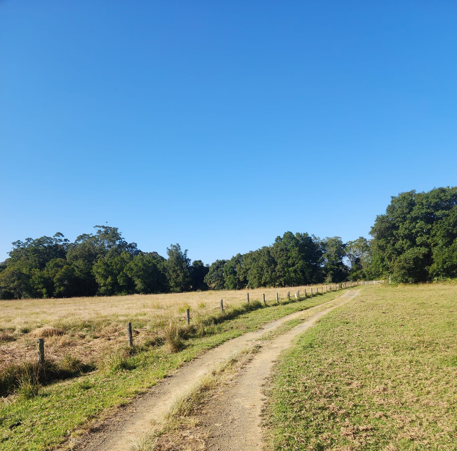 New White Fence — CHT Excavation and Hire In Wherrol Flat NSW