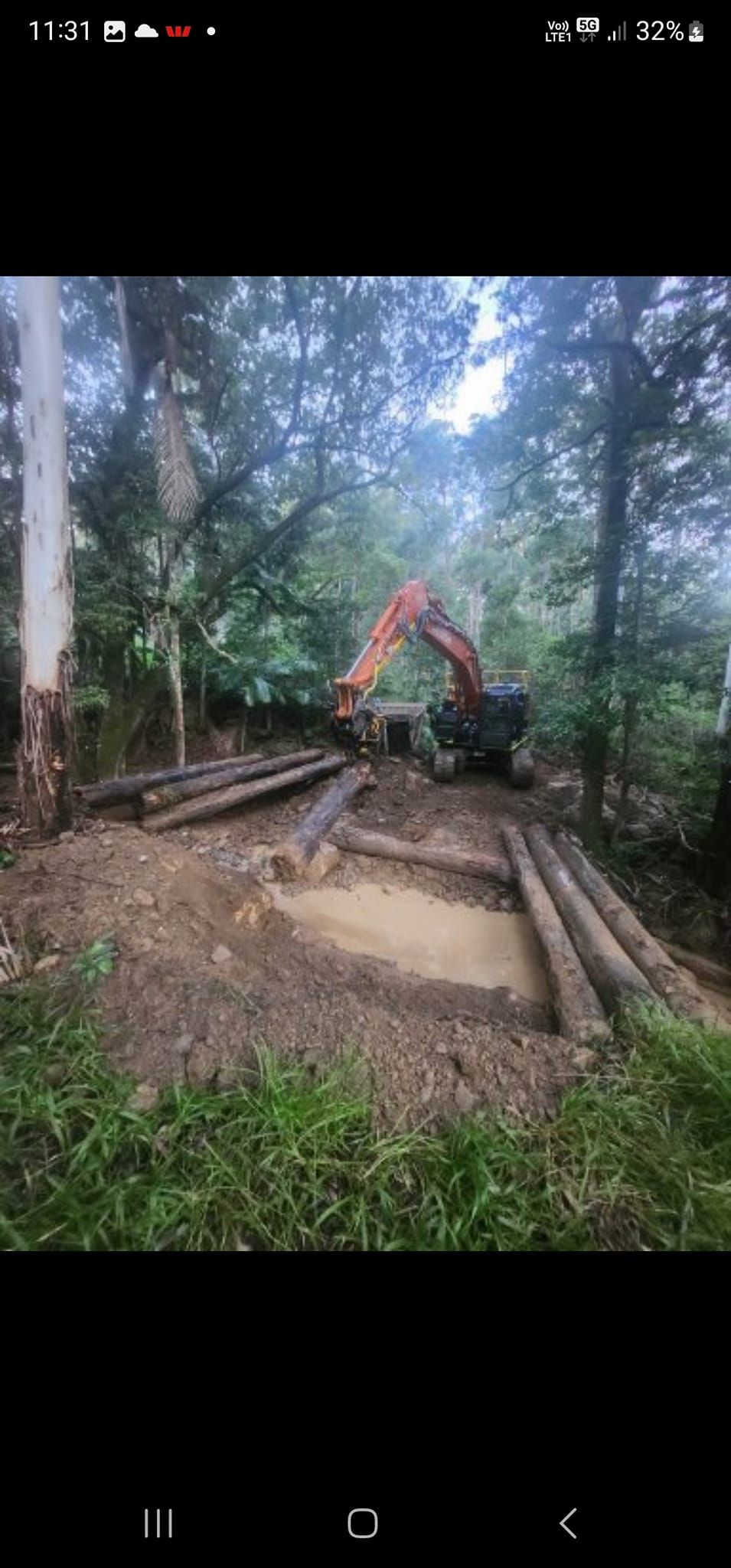 Excavator And Bulldozer Clearing Forest Land — CHT Excavation and Hire In Wherrol Flat NSW