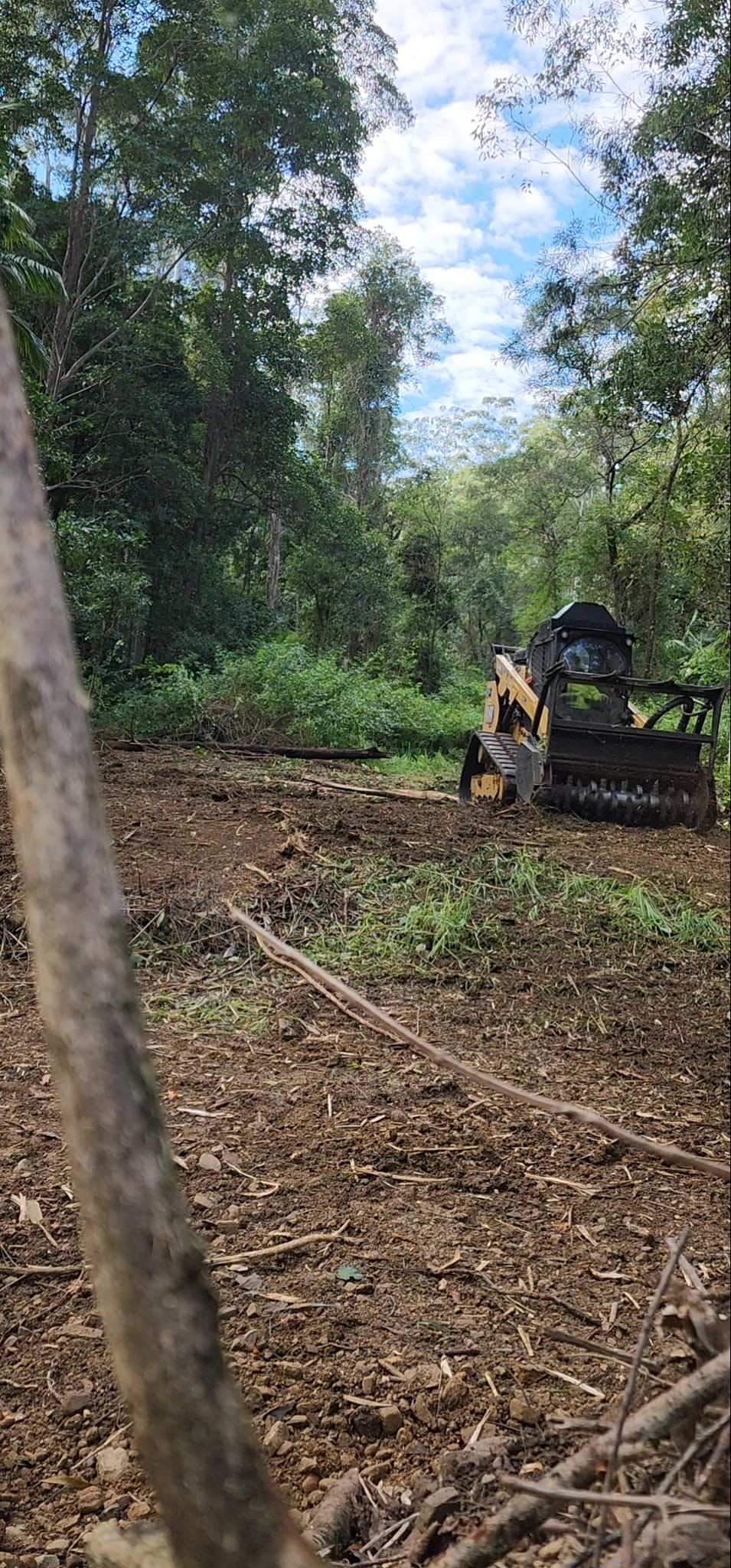 Forest Mulcher That Cleans The Soil In The Forest — CHT Excavation and Hire In Wherrol Flat NSW