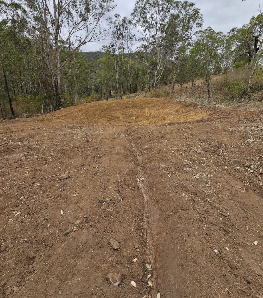 Water Dam with greenery surrounding— CHT Excavation and Hire In Wherrol Flat NSW