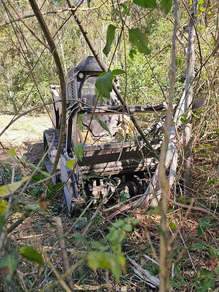 Mulching Machinery Equipment Clearing The Small Tree — CHT Excavation and Hire In Wherrol Flat NSW