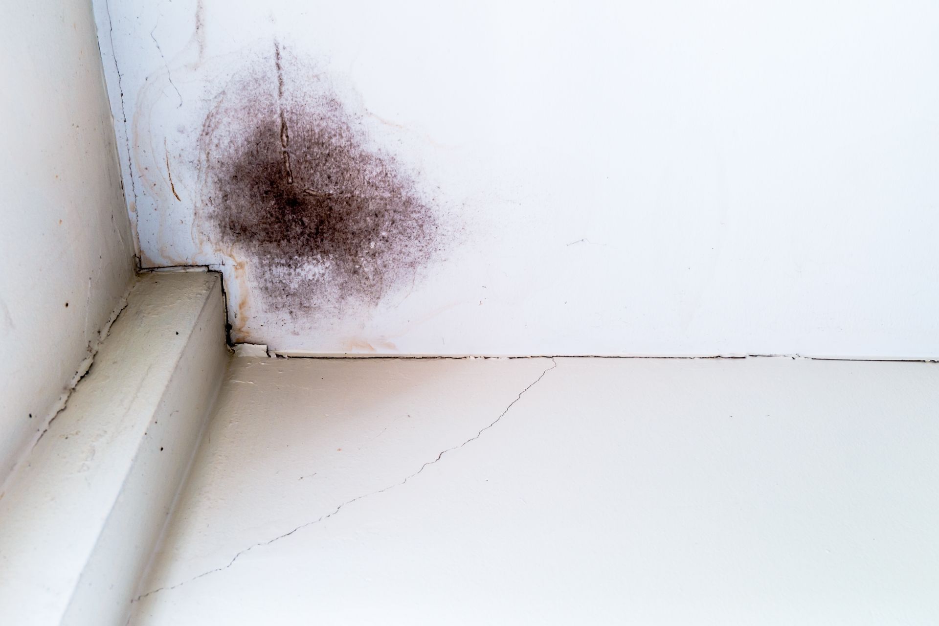 A corner of a white wall with black mold on it.