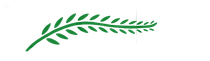 A green, leafy branch silhouette on a white background.