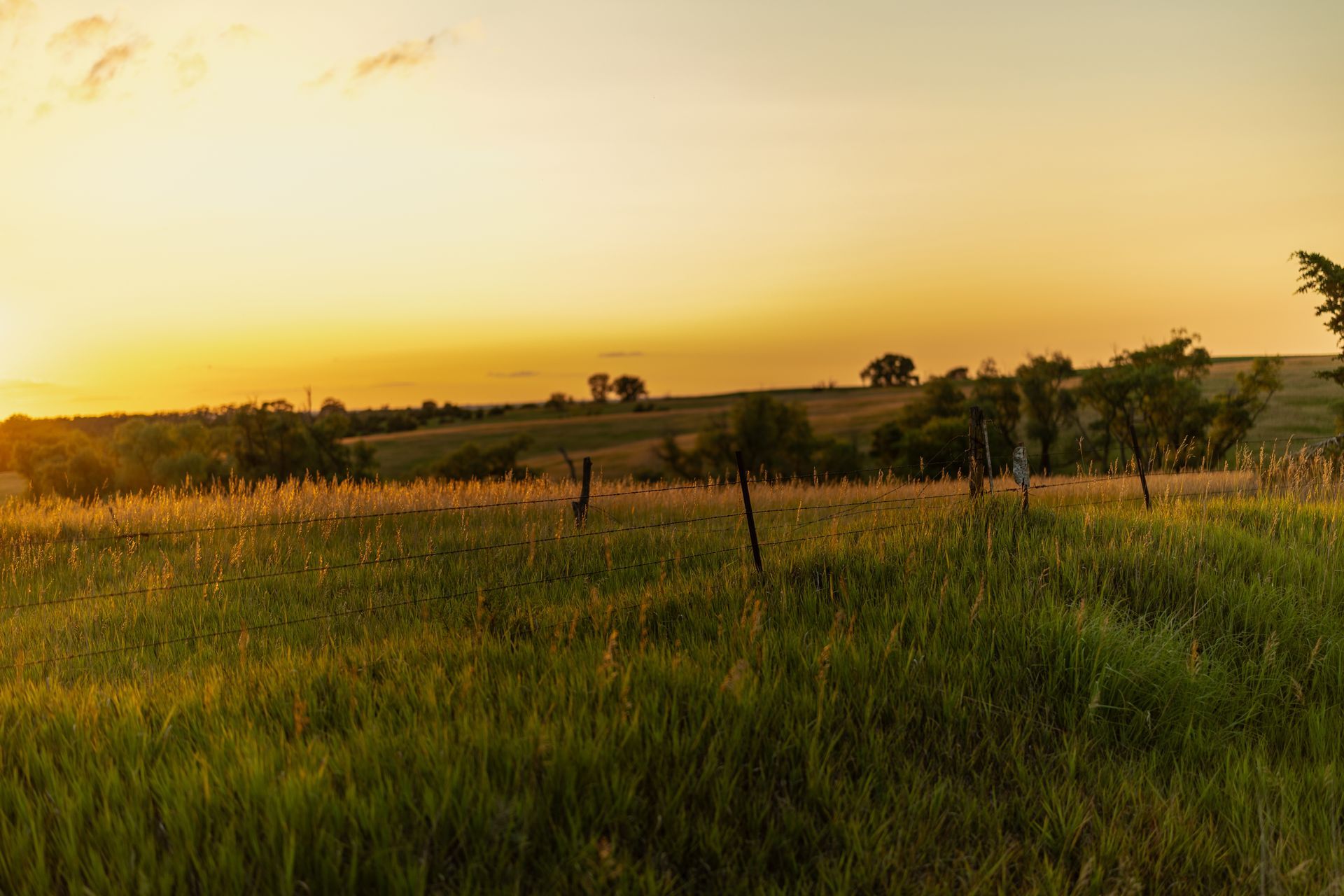 A grassy meadow at sunset with rolling hills in the distance under a warm, golden sky.