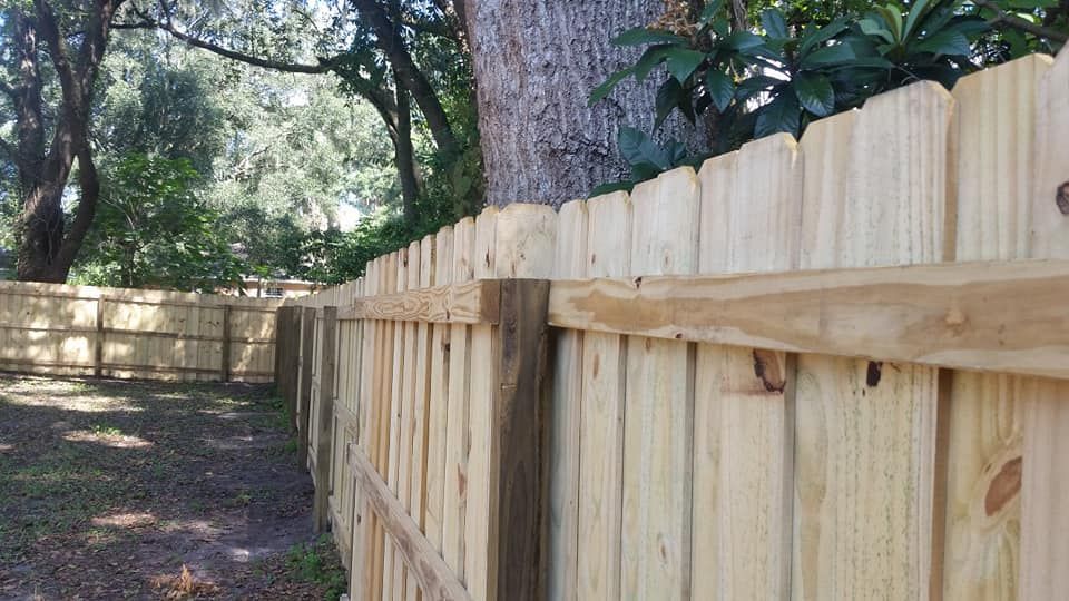 Wooden fence in a backyard with a tree in the background on a sunny day.