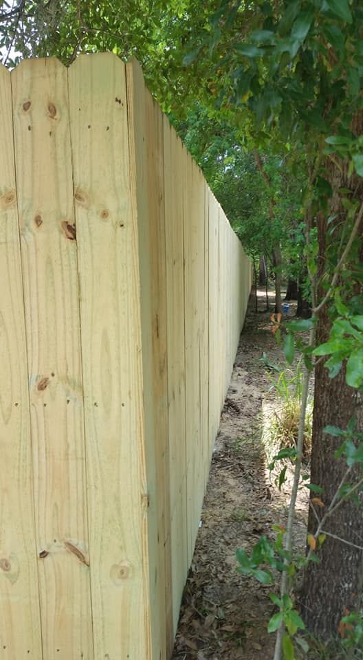 Wooden fence bordering a narrow dirt path with trees and foliage on the right.