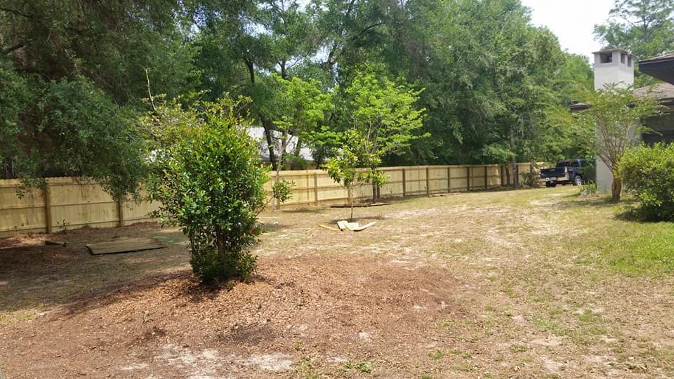 A backyard with a wooden fence, trees, and brown grass.