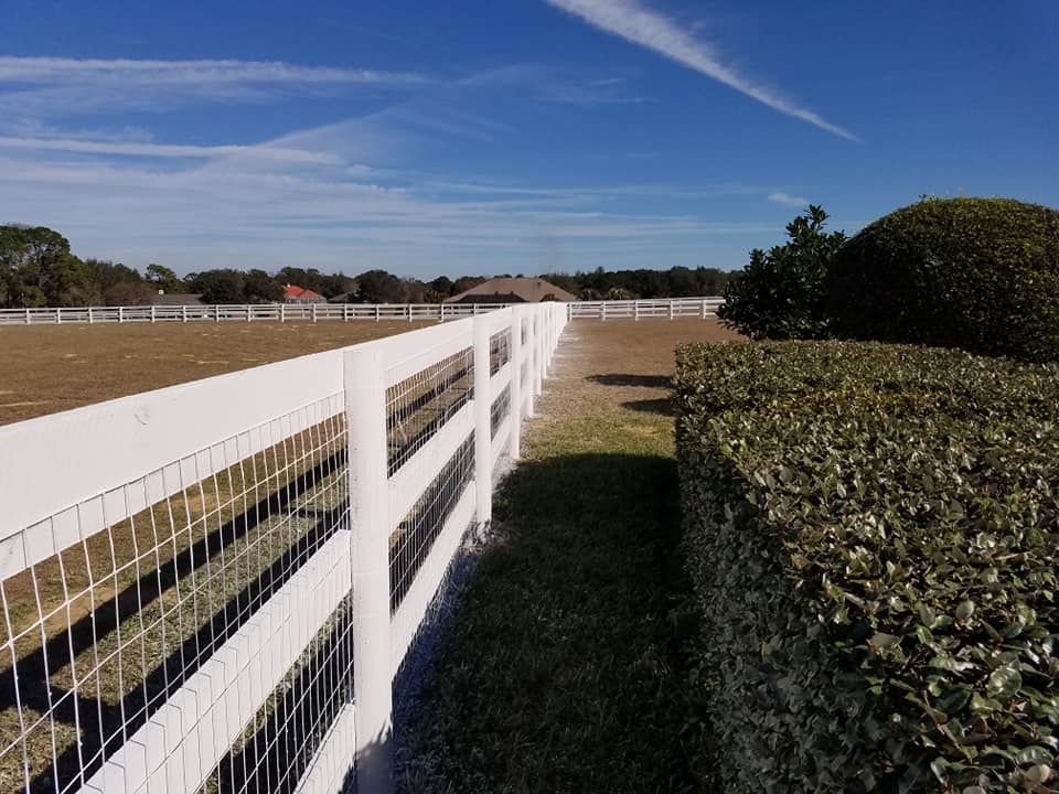 White fence with wire mesh, green lawn, blue sky, and a hedge on the right.