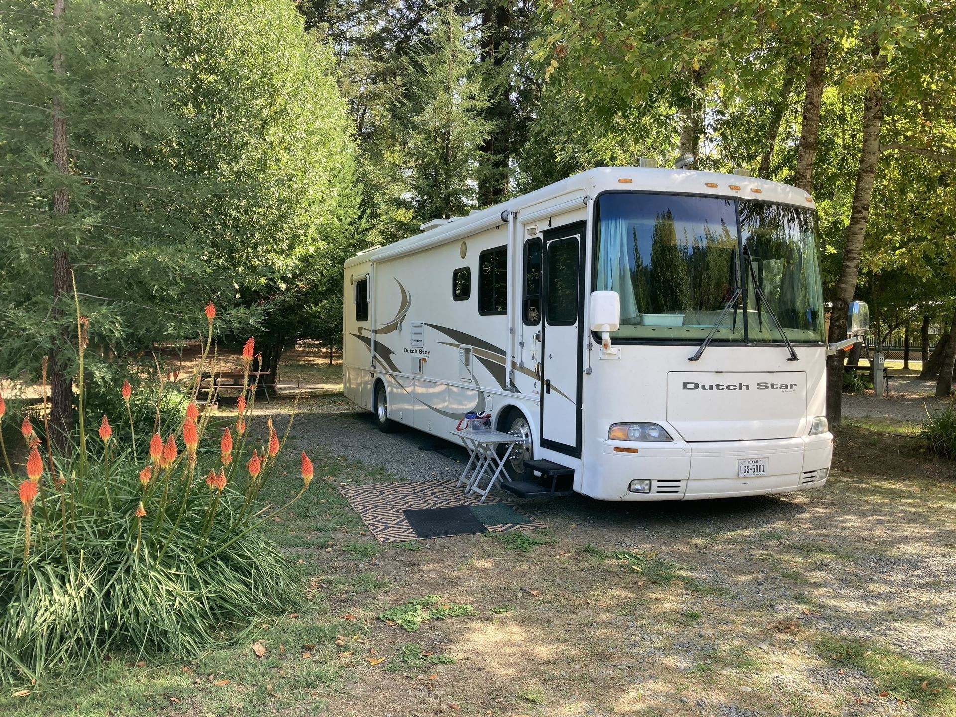 A white Dutch Star recreational vehicle parked in a wooded area with orange flowers in the foreground.