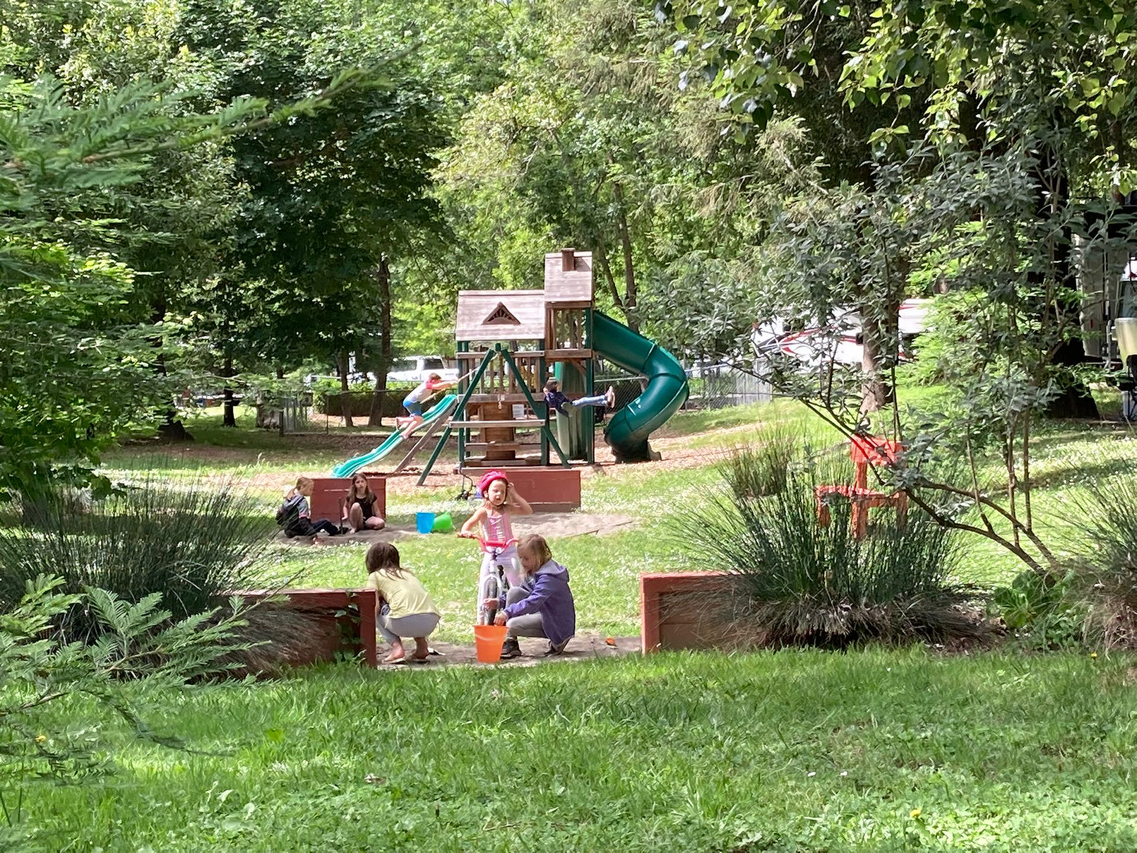A happy, smiling dog with black and brown fur sits in the foreground with a campfire and a camper in the background.
