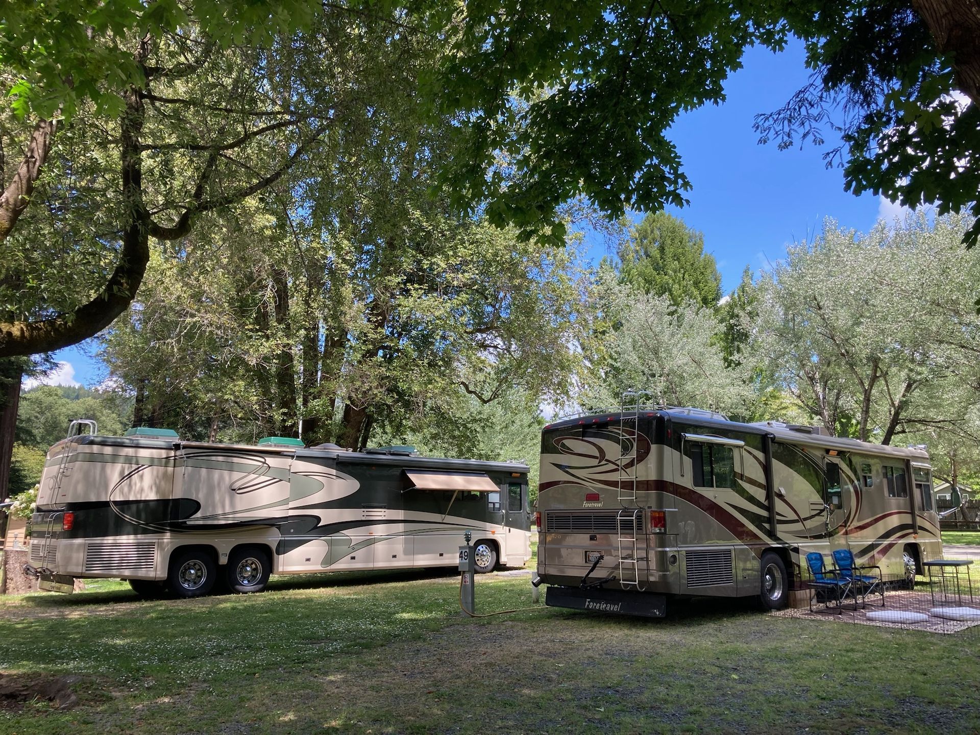 Two large motorhomes parked on a grassy site shaded by tall, green trees under a bright blue sky.