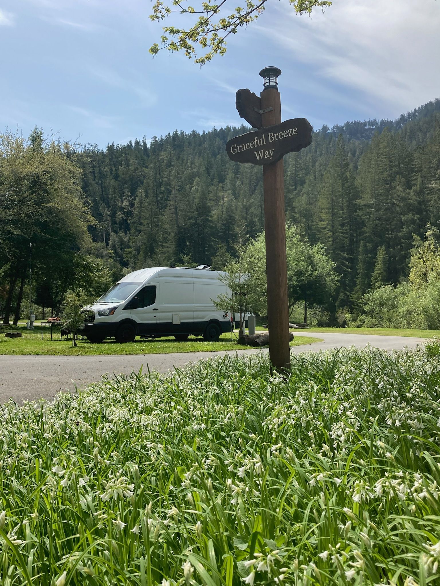 A white camper van parked in a sunny, tree-lined campground behind a wooden directional signpost among wildflowers.