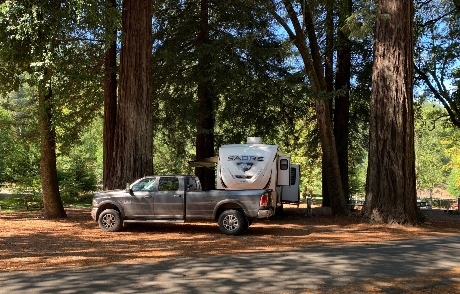A large motorhome parked next to a bright red Jeep in a shady, tree-lined campsite.
