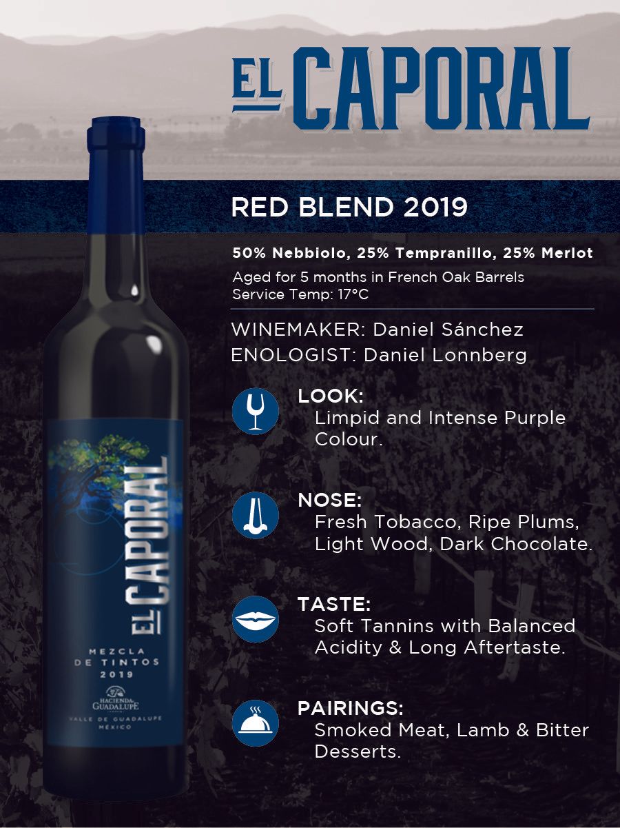 Winery at Hacienda Guadalupe