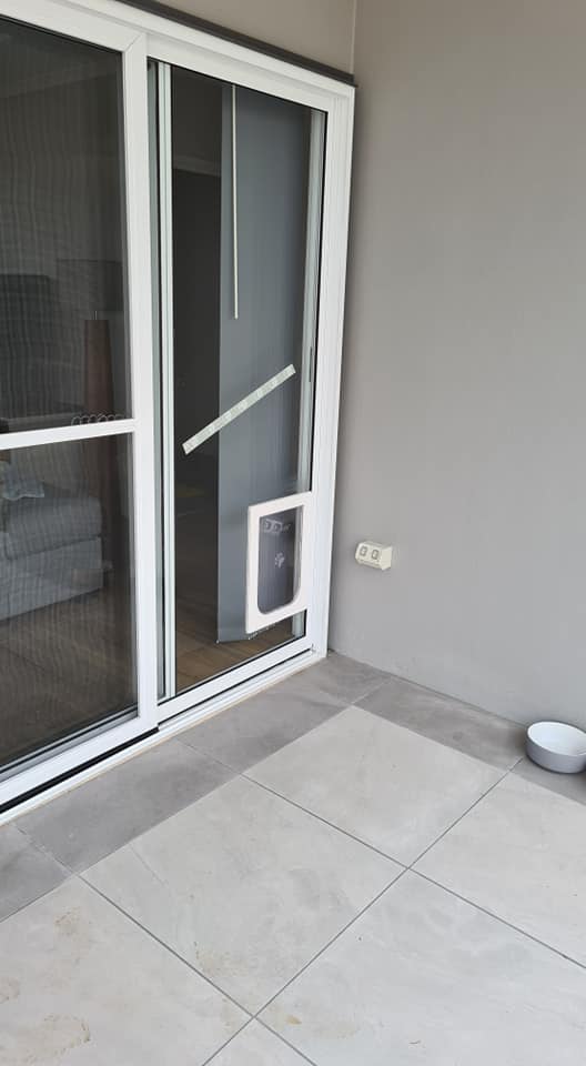 A Glass Door with Small Dog Door — Quality Custom Screens in Caloundra, QLD