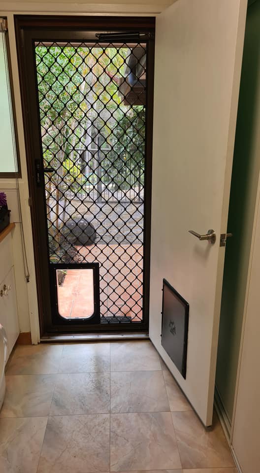 A Door with Security Screen and Dog Door — Quality Custom Screens in Caloundra, QLD