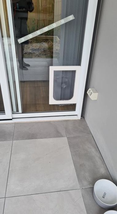 A Glass Door with Dog Door — Quality Custom Screens in Caloundra, QLD