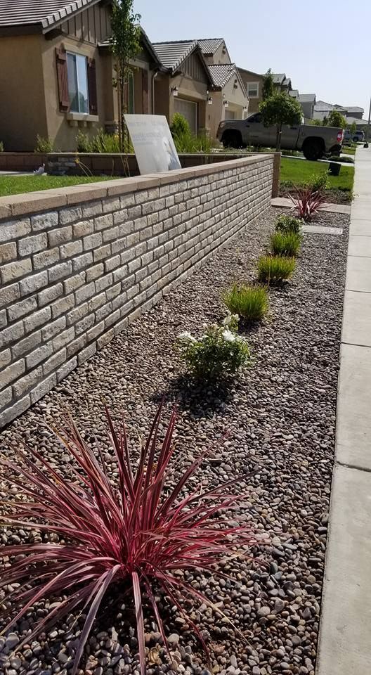 A brick wall with a row of plants growing next to it.