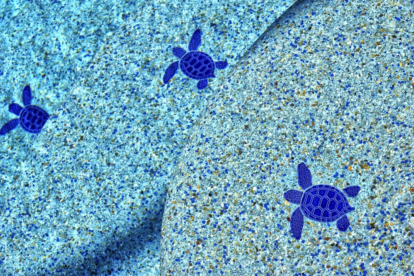 Three blue baby sea turtles swimming over a textured, sandy ocean floor.