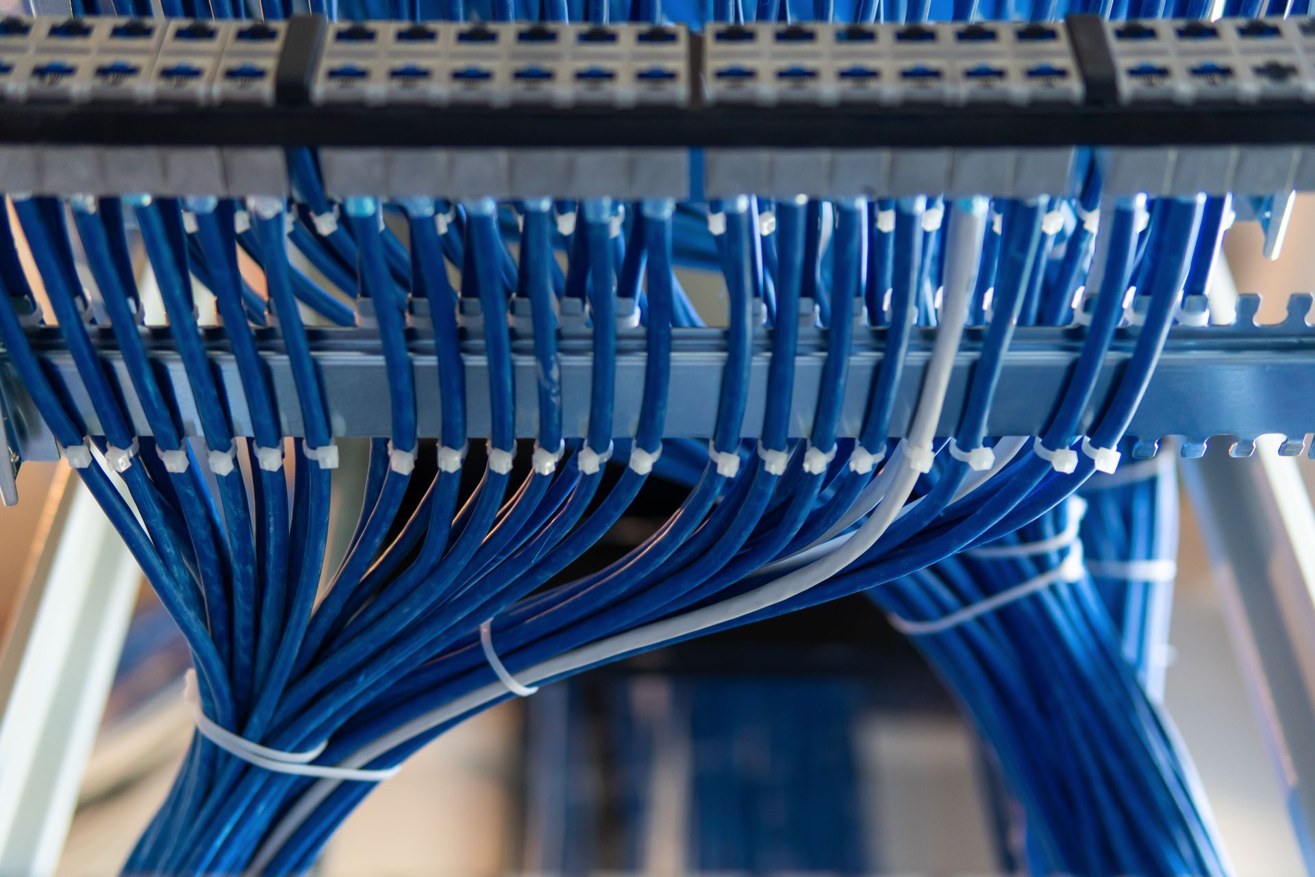 Bellevue, WA Structured Network Cable Services Adaptive Solutions